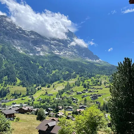 Cosy Swiss Apartmán Grindelwald