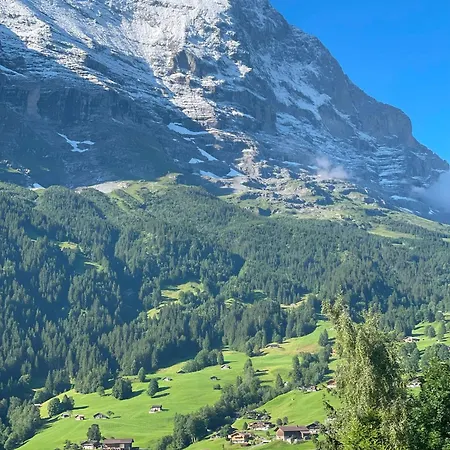 Apartmán Cosy Swiss Grindelwald