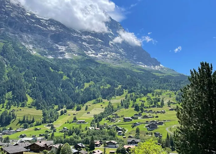 Cosy Swiss Apartment Grindelwald