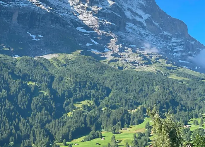 Apartment Cosy Swiss Grindelwald